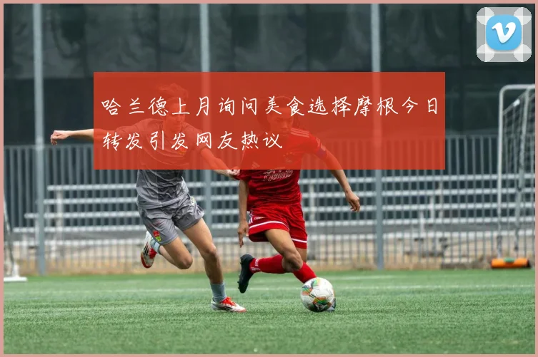 哈兰德上月询问美食选择摩根今日转发引发网友热议