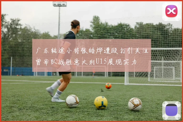 广东铭途小将张皓烨遭殴打引关注曾率队战胜意大利U15展现实力