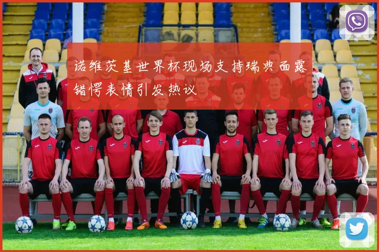 诺维茨基世界杯现场支持瑞典面露错愕表情引发热议