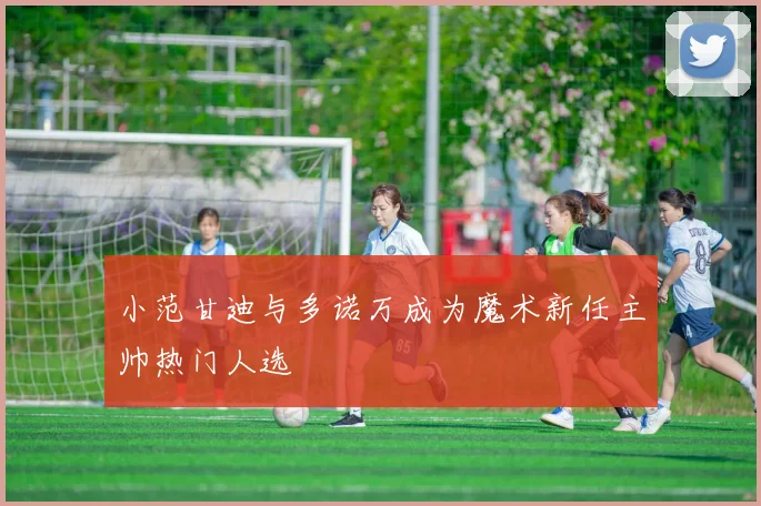 小范甘迪与多诺万成为魔术新任主帅热门人选