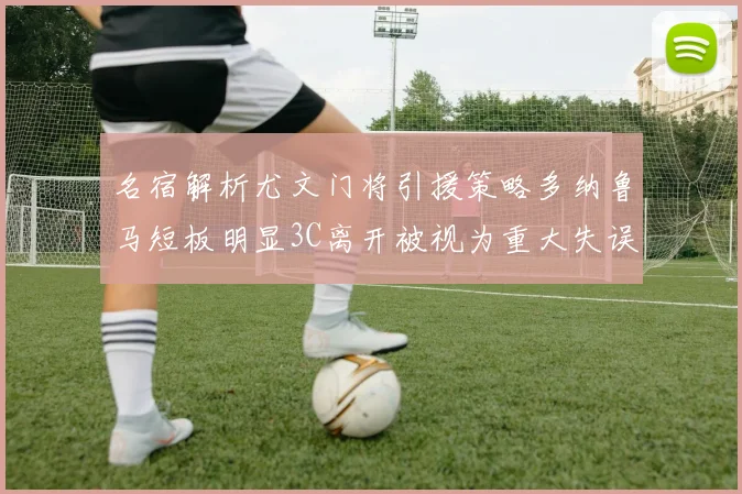 名宿解析尤文门将引援策略多纳鲁马短板明显3C离开被视为重大失误
