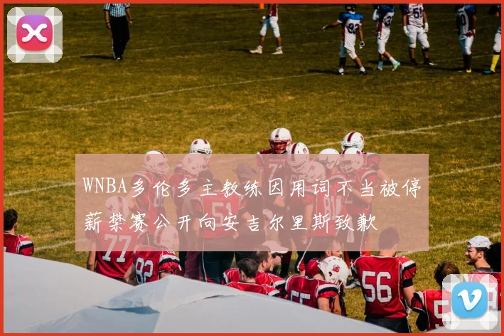 WNBA多伦多主教练因用词不当被停薪禁赛公开向安吉尔里斯致歉